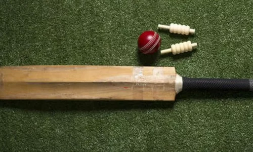 cricket-bat